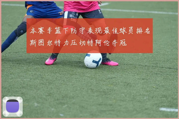 本赛季篮下防守表现最佳球员排名斯图尔特力压切特阿伦夺冠